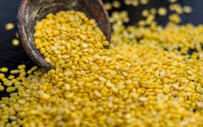 Kitchari-Rezept: Ayurvedische Entlastungskur