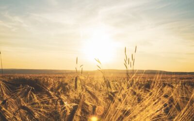 Tipps für Deine Ayurveda-Morgenroutine